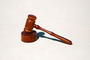 朱自清的散文特点：细腻情感与朴素语言的永恒魅力
