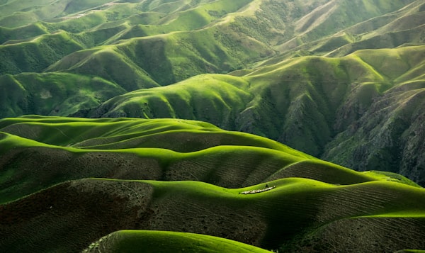 自然风景：野草与山川